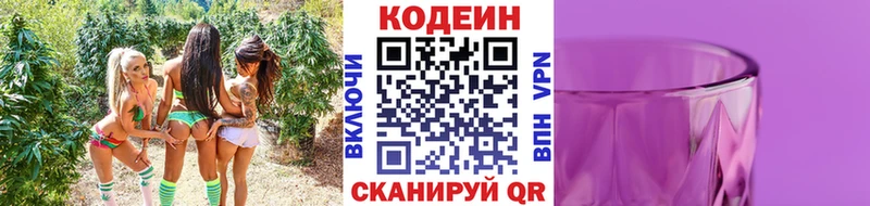 Купить закладки  Бородино  Кодеиновый сироп Lean Purple Drank 