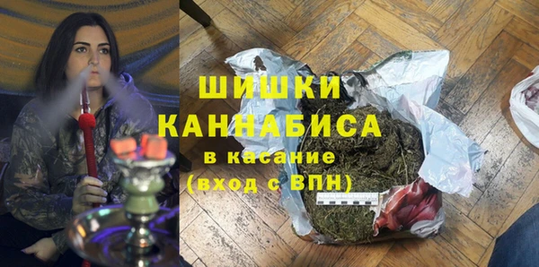 сатива Корсаков