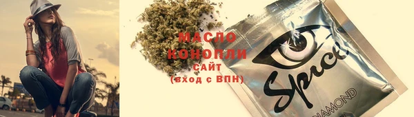 сатива Корсаков