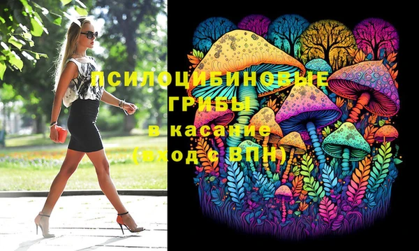 МДПВ Алексин