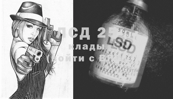 PSILOCYBIN Алексеевка