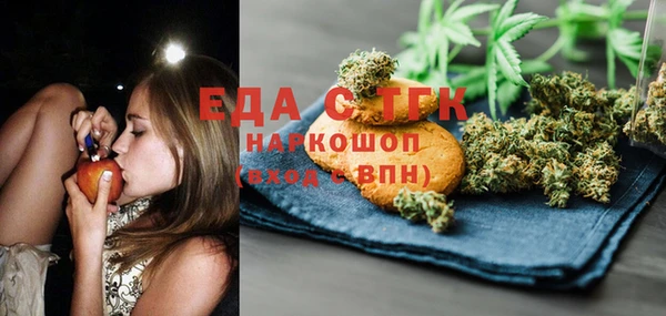 индика Алзамай
