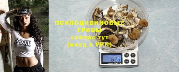 PSILOCYBIN Алексеевка