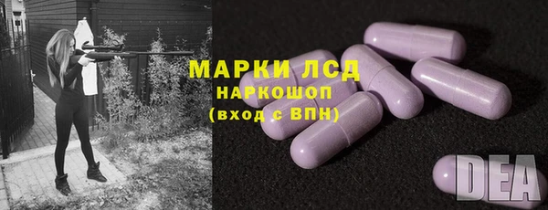 сатива Корсаков