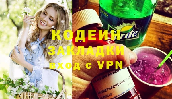 индика Алзамай