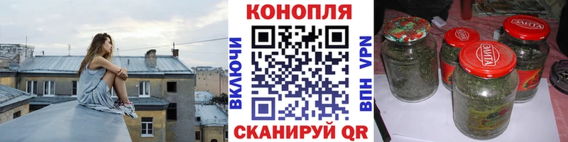 Бошки марихуана Amnesia  Купить закладки  Бородино 